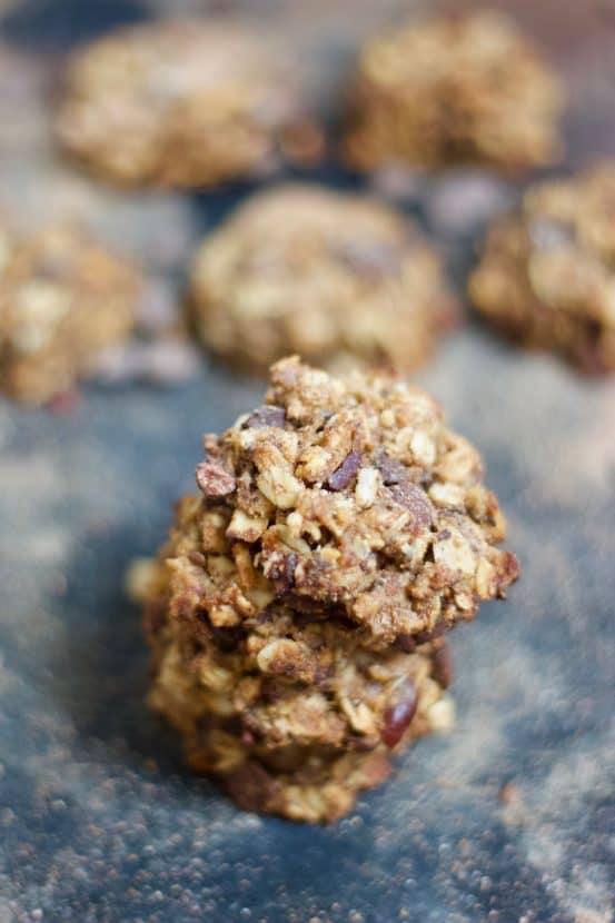 Vegan Lactation Cookies [glutenfree + fruitsweetened] • Healthy Helper